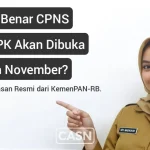 Kupas tuntas isu jadwal pendaftaran CASN 2025 (CPNS dan PPPK). Dapatkan penjelasan resmi dari KemenPAN-RB, prediksi realistis, dan panduan lengkap persiapan di sini
